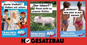 AfD: Scheiß-Islam und geile Frauen item-thumbnail